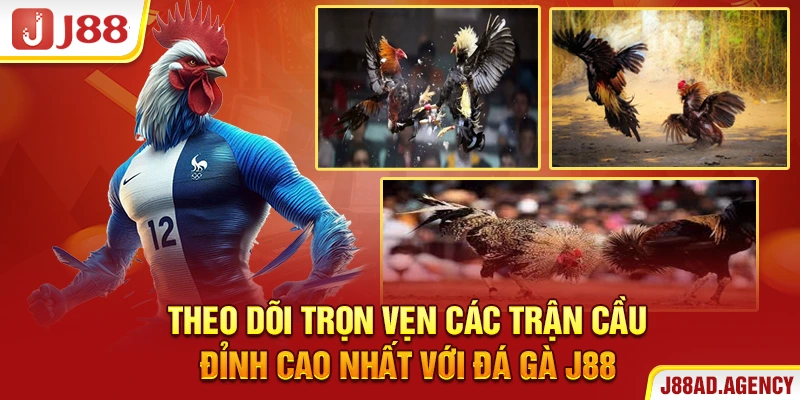 Theo dõi trọn vẹn các trận cầu đỉnh cao nhất với Đá Gà J88