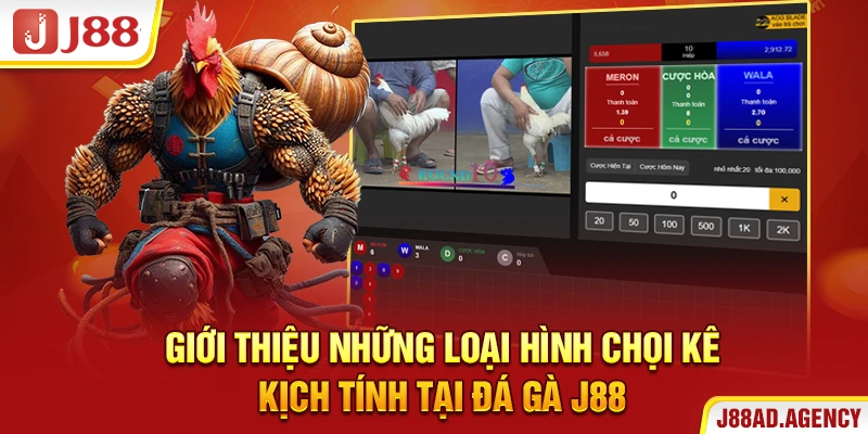 Giới thiệu những loại hình chọi kê kịch tính tại đá gà J88