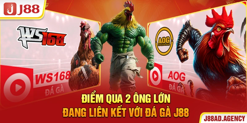 Điểm qua 2 “ông lớn’’ đang liên kết với Đá Gà J88